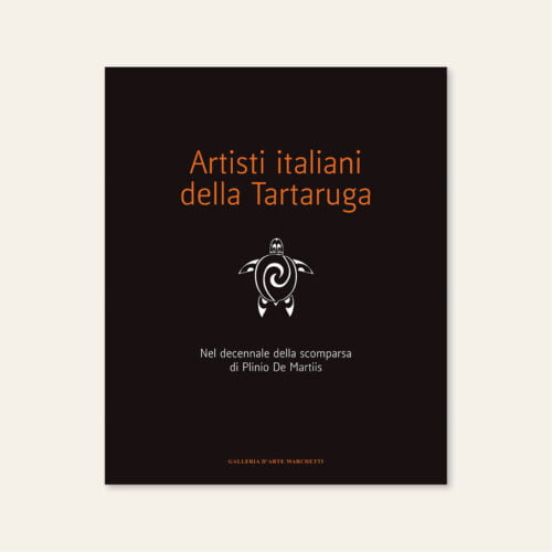 artisti italiani tartaruga plinio de martiis