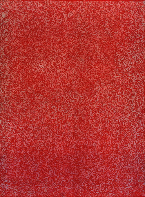 Continuum rosso, 1973