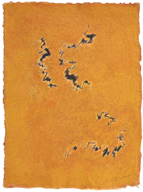 Senza titolo, 2015