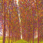 tobia ravà da'at numeri creazione sabbioneta bosco camomilla