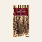 arte Organi Pontificia Basilica Sant'Antonio Padova sabatini