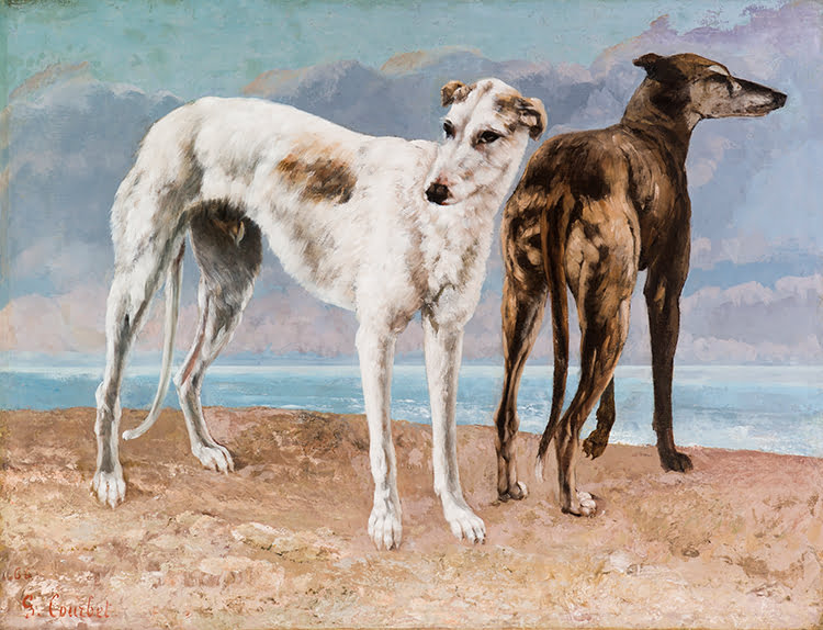 courbet gustave greyhounds levrieri Comte de Choiseul