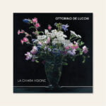 ottorino de lucchi chiara visione