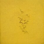 boille luoghi luce scrittura silenzio giallo inciso lieve 2009