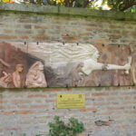 ferrariae decus ravaioli allievi dosoo dossi resistente