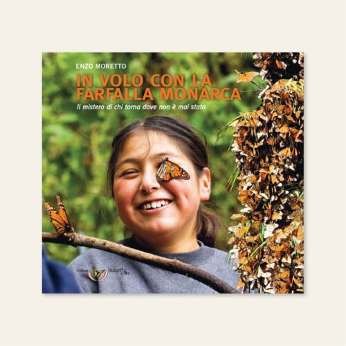 volo farfalla monarca enzo moretto butterfly arc copertina