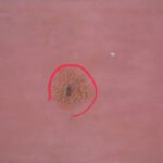 Giulio Turcato Colori mai visti galleria marchetti