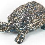 divine armonie Rinascimento Tobia Ravà asolo megatartaruga emet verità