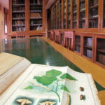 Lavorazione della seta biblioteca esapolis