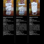 Il baco da seta bozzoli collezione Padova