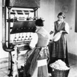 Il baco da seta Lavorazione della seta