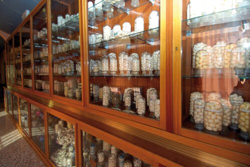 panoramica PD Il baco da seta panoramica bozzoli