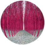 rava tobia memorie infinito legnago 2024 foresta alchemica sferica rossa