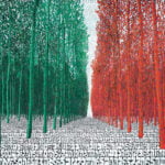 rava tobia memorie infinito legnago 2024 i-tal-ya bosco tricolore