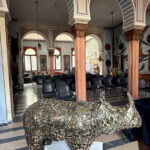 rava tobia memorie infinito legnago 2024 clara rhino