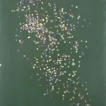 tano festa mi aprirò nel sole opere 1960-1987 s.t. coriandoli