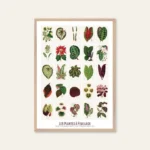 poster fine artfoglie