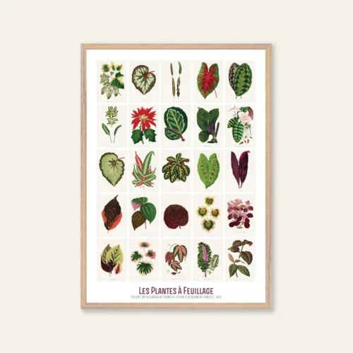 poster con cornice foglie