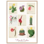 fiori di cactus, Familie Der Cacteen, poster cornice legno, home decor