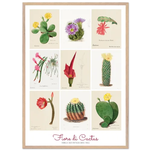 fiori di cactus, Familie Der Cacteen, poster cornice legno, home decor