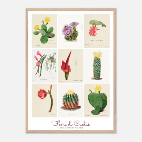 76086c81-4bed-4c3d-bf0a-2fb16ed0f61c.webp fiori di cactus, Familie Der Cacteen, poster cornice legno, home decor