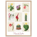 fiori di cactus, Familie Der Cacteen, poster cornice legno, home decor