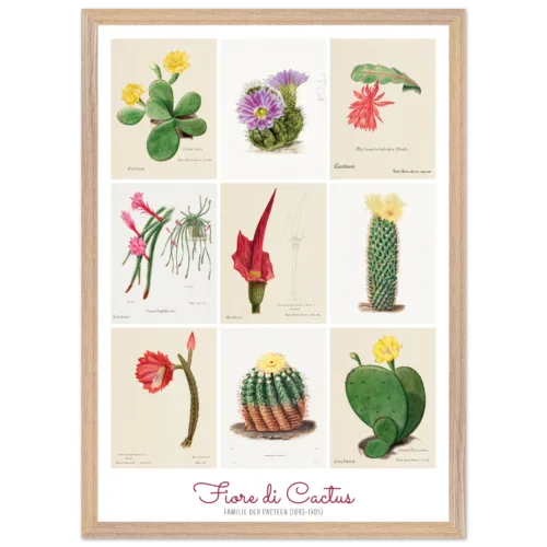 b0821d7a-d4b3-483d-a073-f13420e5ee0b.webp fiori di cactus, Familie Der Cacteen, poster cornice legno, home decor