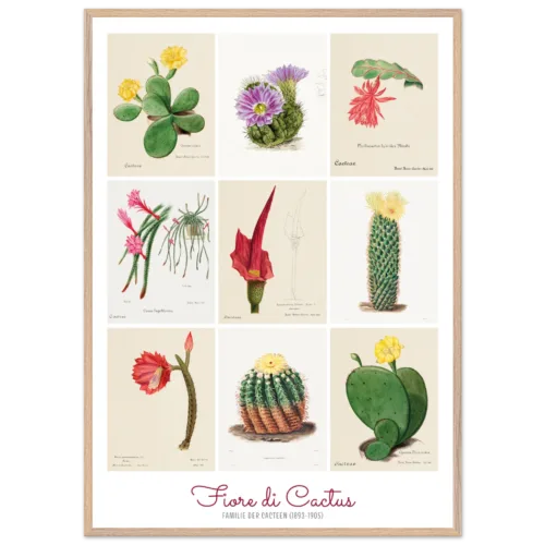 c8b1d427-8a04-4dcb-ac28-fda70465fe94.webp fiori di cactus, Familie Der Cacteen, poster cornice legno, home decor