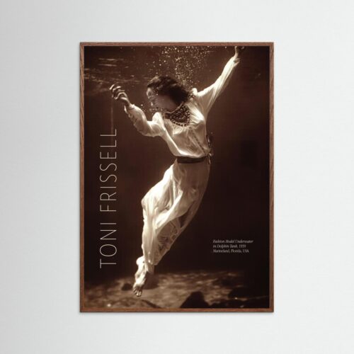 Poster fine art . Toni Frissell
