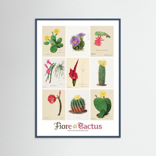 Home 8 Poster fine art . Familie Der Cacteen