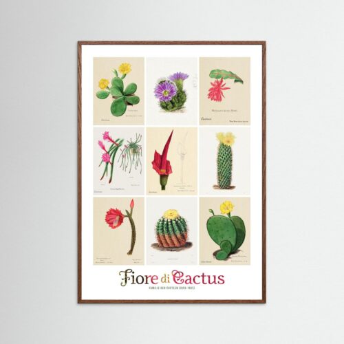 Poster fine art . Familie Der Cacteen