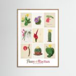 Poster fine art . Familie Der Cacteen