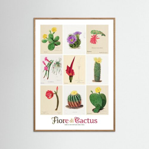 Poster fine art . Familie Der Cacteen