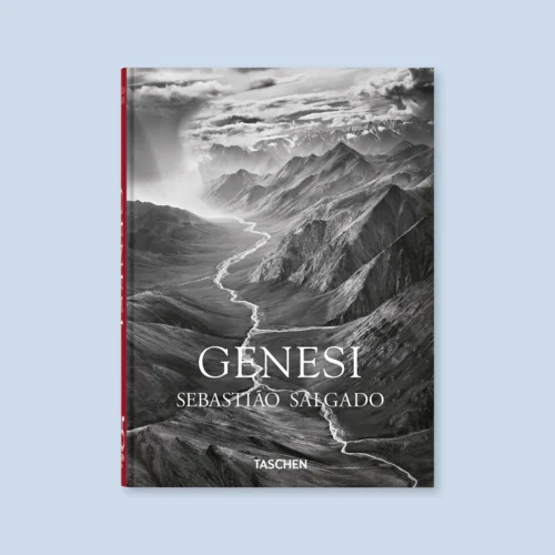 salgado genesi 9783754405215