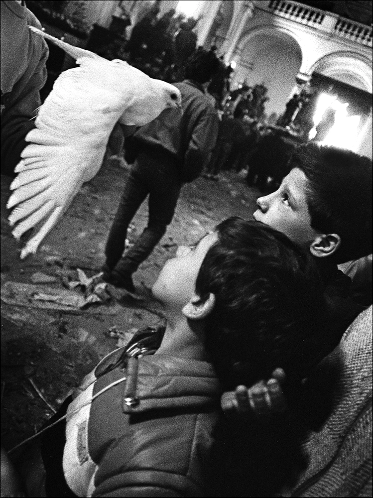 Letizia Battaglia, Misteri. La colombina. Trapani, 1989.webp