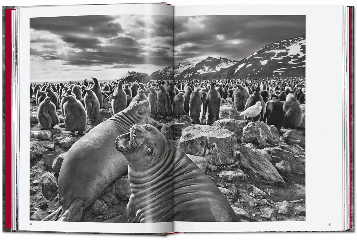 SALGADO_GENESIS_45_GB_OPEN001_048_049_42383