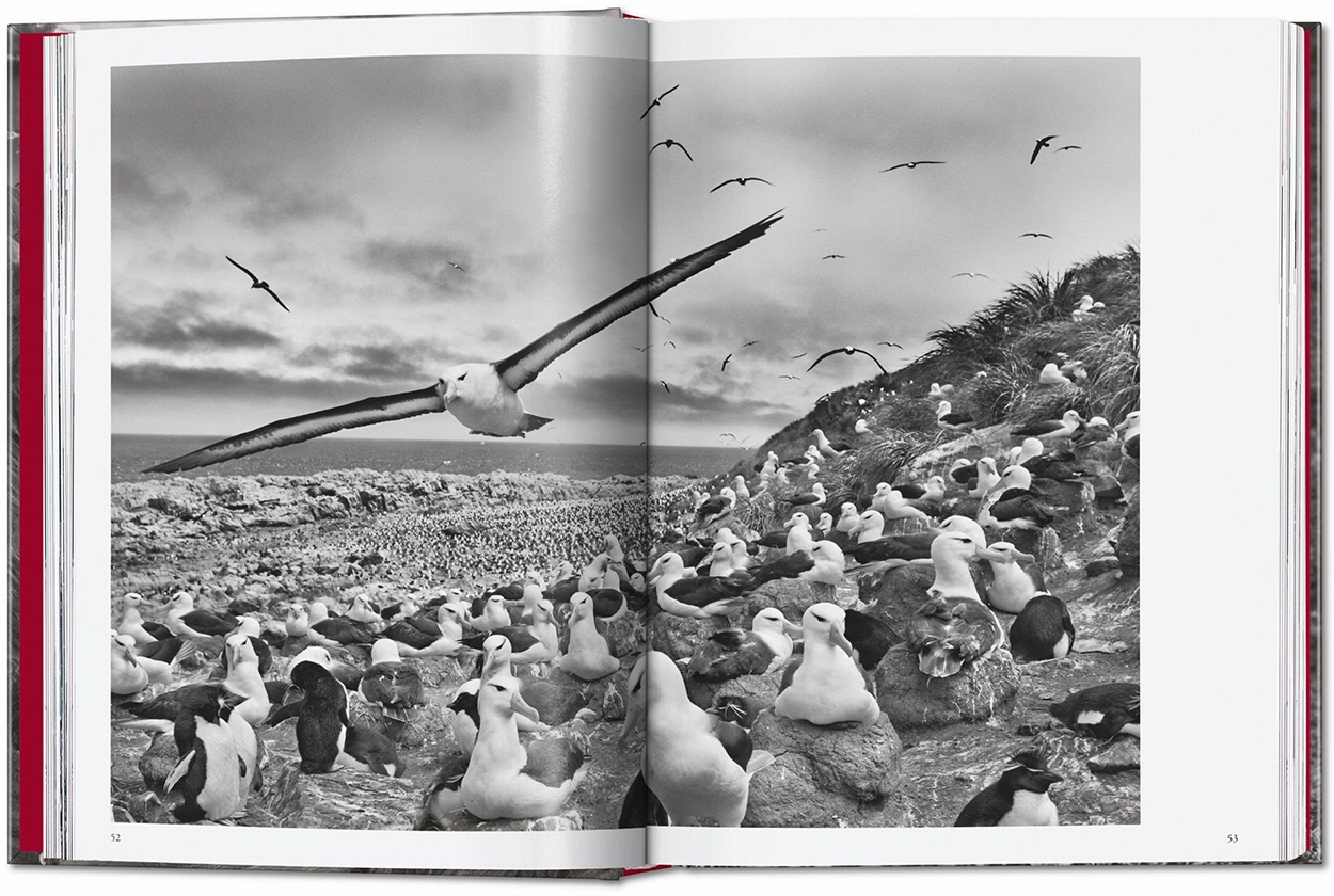 SALGADO_GENESIS_45_GB_OPEN001_052_053_42383