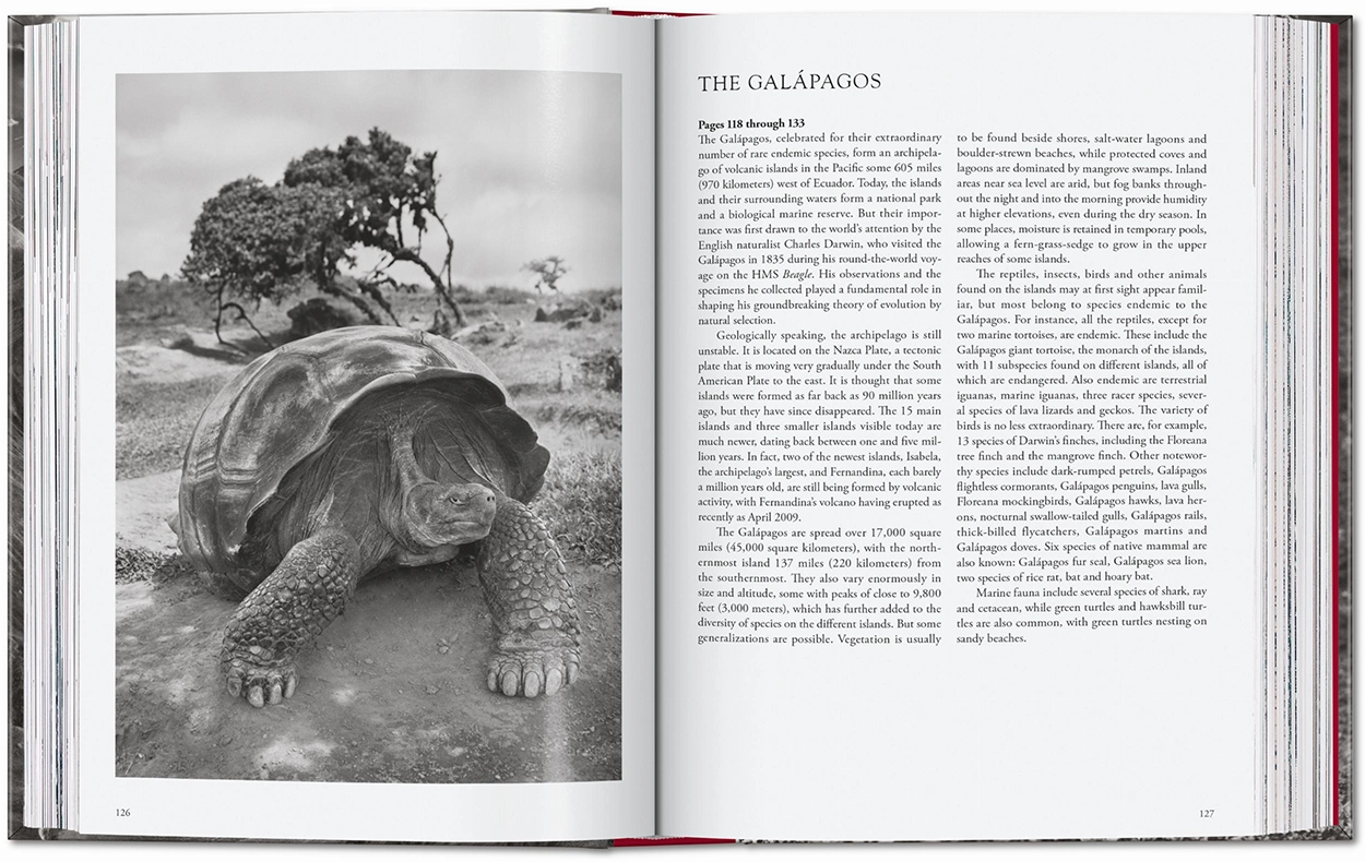 SALGADO_GENESIS_45_GB_OPEN001_126_127_42383