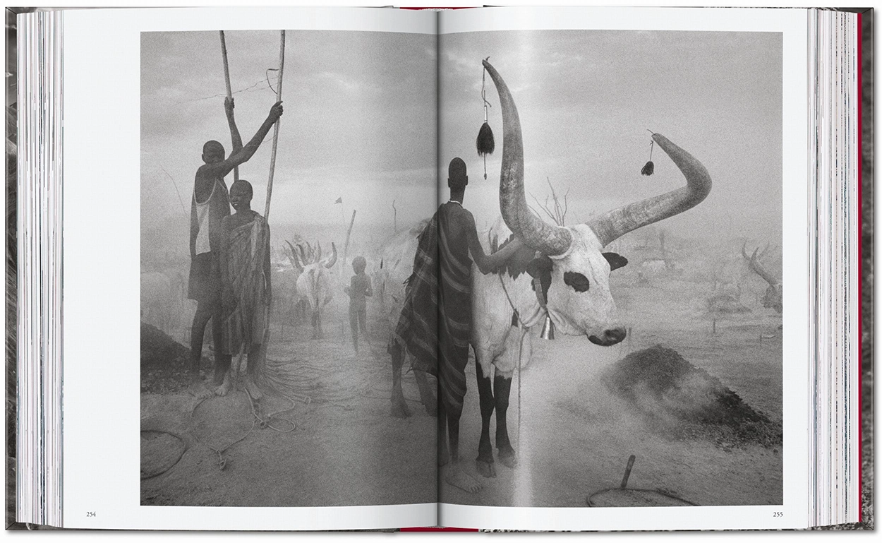 SALGADO_GENESIS_45_GB_OPEN001_254_255_42383